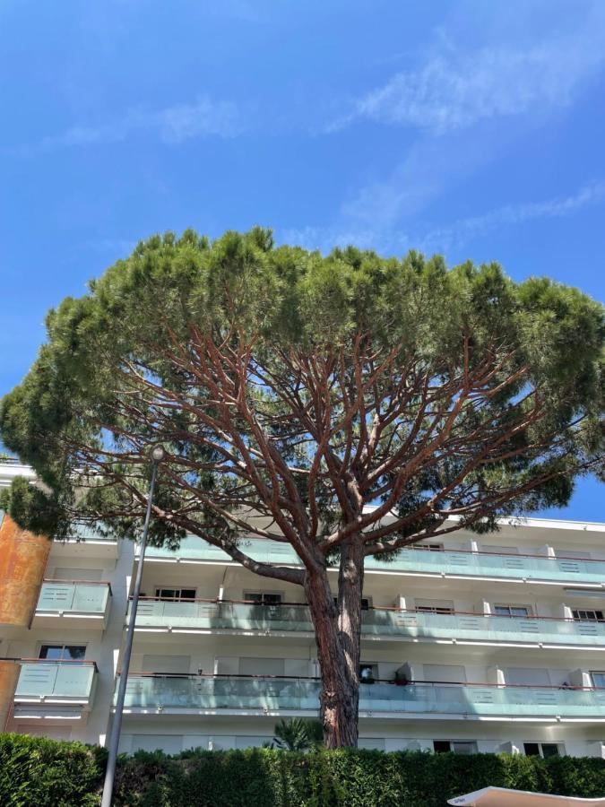 Superbe Lumineux Sur Cannes, à Quelques Minutes De La Célèbre Rue D'antibes ! *